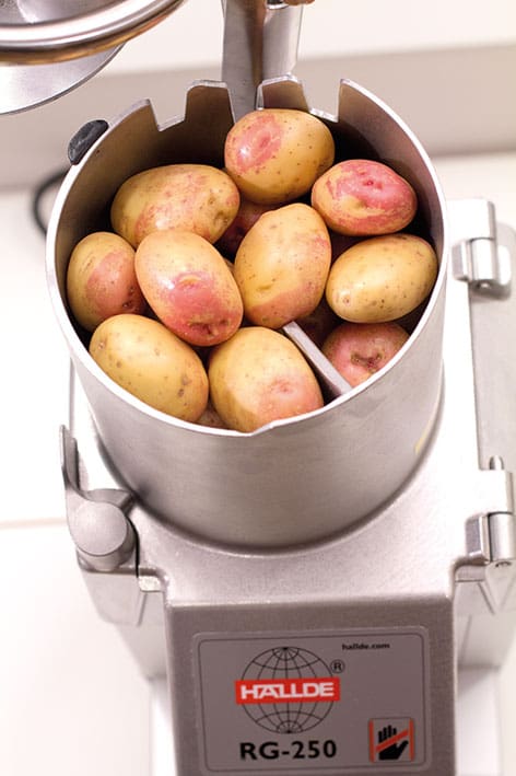 Hallde Vegetable Preparation Machine - RG-250 - Image 7
